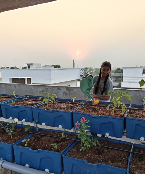 WhatsApp Image 2025-08-02 at 13.29.52