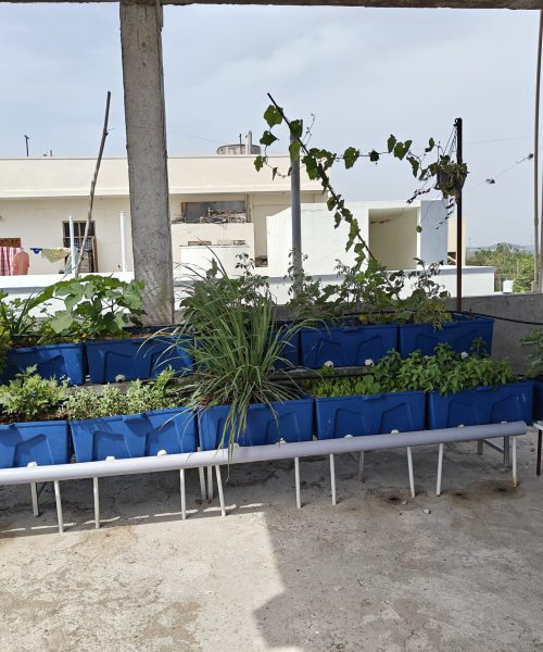 WhatsApp Image 2025-08-02 at 13.29.55