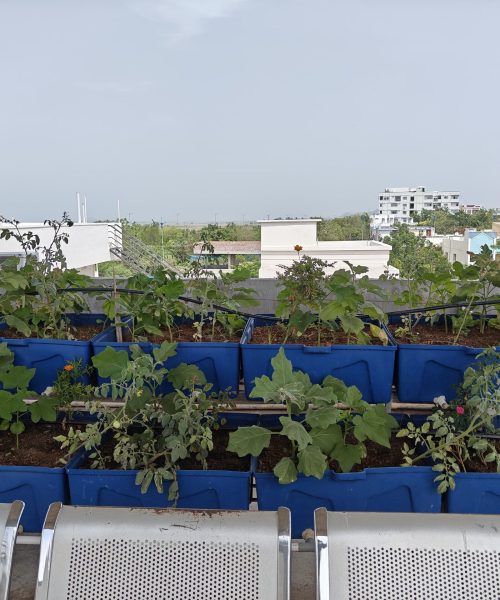 WhatsApp Image 2025-08-02 at 13.29.56