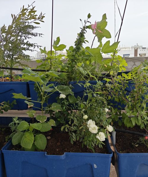 WhatsApp Image 2025-08-02 at 13.29.57