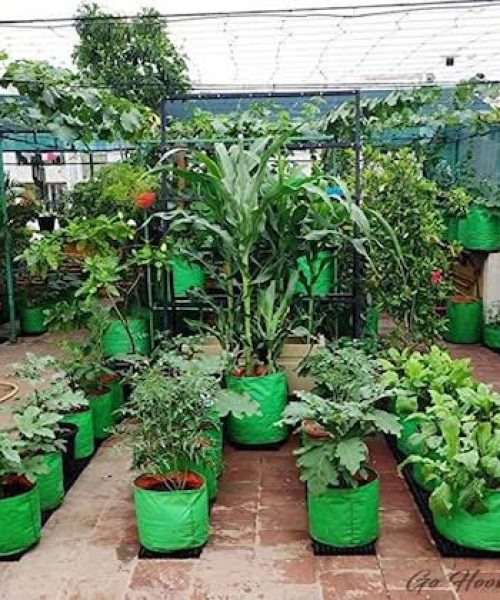 WhatsApp Image 2025-08-02 at 13.30.59